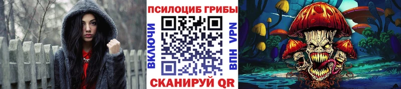 где продают наркотики  Новый Оскол  Галлюциногенные грибы Cubensis 
